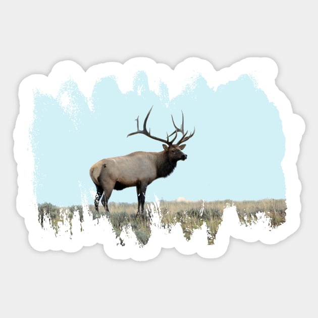 Bull Elk- Monarch of the Forest Sticker by Whisperingpeaks